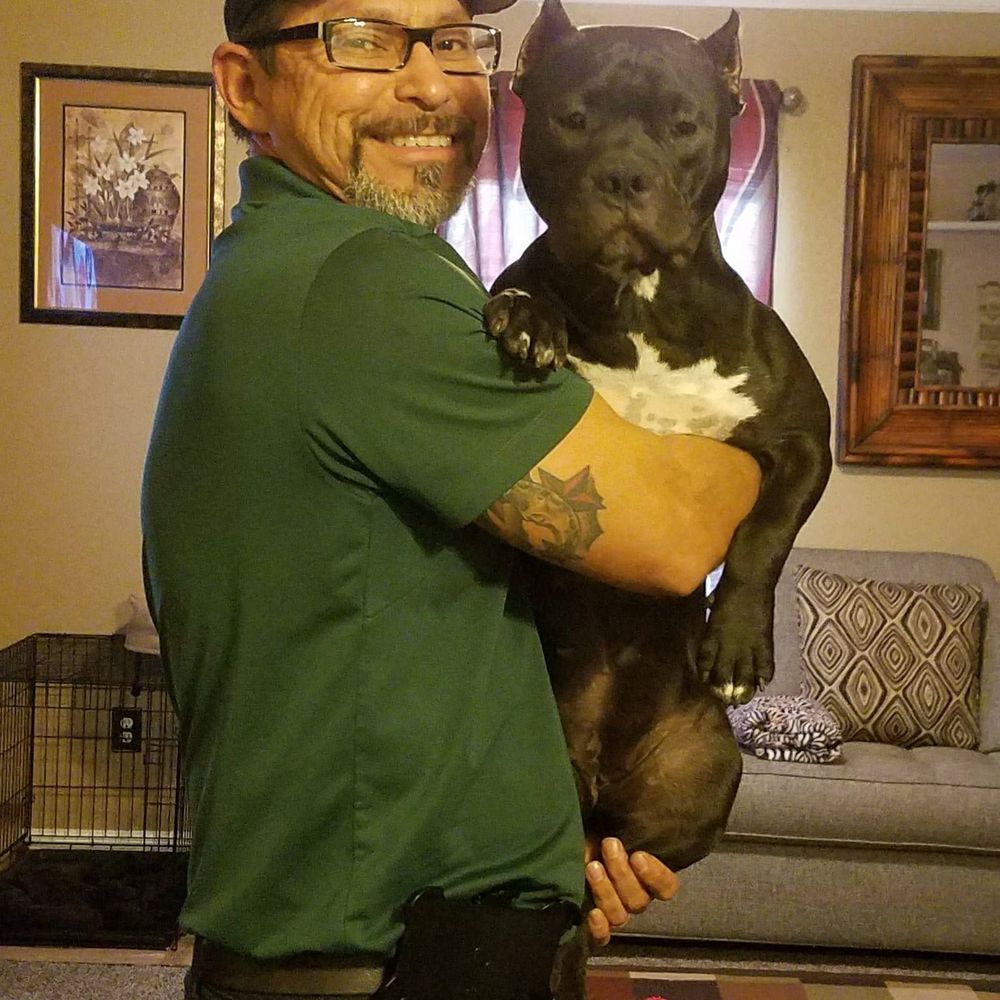 Meet your Posher, Jimmie